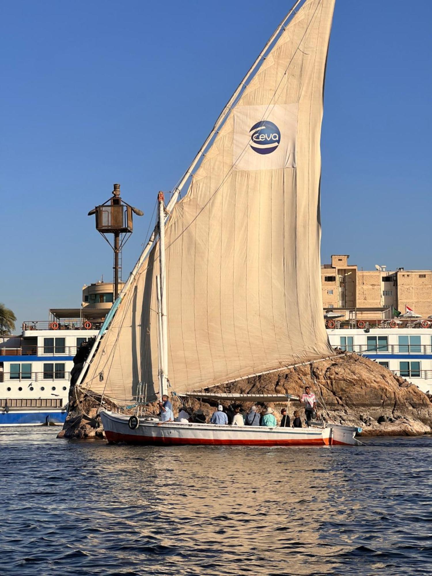 Pyramids Magic View * Il Cairo